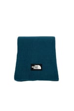 THE NORTH FACE Erkek Logo Box Şal, Midnight Petrol, Tek Beden