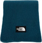 THE NORTH FACE Erkek Logo Box Şal, Midnight Petrol, Tek Beden