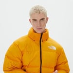 THE NORTH FACE Erkek Nuptse Ceket