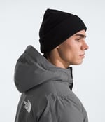 The North Face Erkek Parka