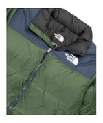 THE NORTH FACE Erkek Retro Nuptse Ceket