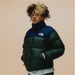 THE NORTH FACE Erkek Retro Nuptse Ceket