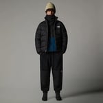 The North Face Hydrenalite Erkek Mont