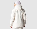 The North Face M Descendit Jacket Erkek Mont
