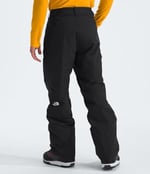 The North Face M Freedom Insulated Pant Erkek Outdoor Pantolonu NF0A5ABU4H01 Siyah
