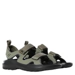 THE NORTH FACE M HEDGEHOG SANDAL III (BURNT OLIVE GREEN/TNF BLACK / 44,5)