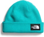 The North Face Salty Lined Beanie Bere NF0A3FJWI0T1 Mavi