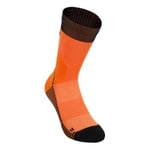 THE NORTH FACE Trail Run Sock Crew Çorap Erkekler