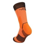 THE NORTH FACE Trail Run Sock Crew Çorap Erkekler