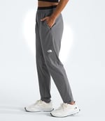 THE NORTH FACE W Flex Woven Jogger Atletizm Eşofman Altı Kadın