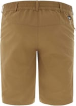 The Northface Erkek TANKEN Şort (REGULAR FIT) NF0A2S85D9V1 Açık Kahve REG32