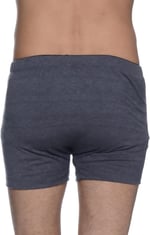 TheDon The Don Boxer, 503052484