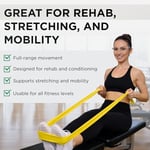 THERABAND Lateks içermeyen egzersiz bantları, üst vücut, alt vücut ve gövde egzersizleri, fizyoterapi, pilates, ev antrenmanı ve rehabilitasyon için profesyonel direnç bantları