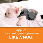 ThunderShirt Köpekler için, X Small, Heather Gray Classic - Köpek Anksiyete Giderici Sakinleştirici Yelek - Seçenekler: Medium (Pack of 1), X Small (8-14 lbs), Large (41-64 lbs)...