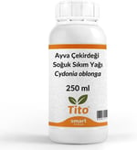 Tito Ayva Çekirdeği Yağı Soğuk Sıkım 250 ml