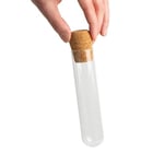 Toganoo Isıya Dayanıklı Borosilikat Cam Çay Süzgeci - Pratik Tüp Çay Filtresi - Bitki Çayları ve Yeşil Çay İçin Metal Tadı İçermeyen Demlik İçi - Healthy Glass Tea Infuser