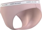 Tommy Hilfiger 3 Pack Bikini (Ext Sizes) Çoklu Paket/İç Giyim Kadın