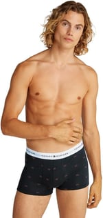 Tommy Hilfiger 3P TRUNK PRINT İç Giyim Erkek