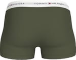 Tommy Hilfiger 3P TRUNK PRINT İç Giyim Erkek