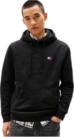 Tommy Hilfiger TJM REG BADGE HOODIE EXT Sweatshirt Erkek