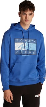 Tommy Hilfiger TJM REG DNA FLAG TWIST HOOD EXT Sweatshirt Erkek