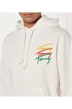 Tommy Hilfiger TJM RLX 3 COLOR SIGNATURE HOODIE Sweatshirt Erkek
