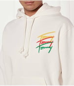 Tommy Hilfiger TJM RLX 3 COLOR SIGNATURE HOODIE Sweatshirt Erkek