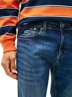 Tommy Jeans AUSTIN SLIM TPRD AI0255 Jeans Erkek