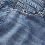 Tommy Jeans RYAN SLIM STR DH0235 Jeans Erkek