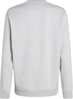 Tommy Jeans TJM REG S FLAG CREW Sweatshirt Erkek