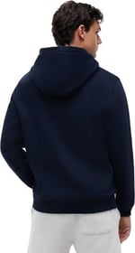 Tommy Jeans TJM REG S FLAG HOODIE Sweatshirt Erkek