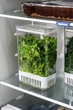 Transformacion Yeşillik Saklama Kabı 2900 ml - Taze Yeşillik İçin Süzgeçli Saklama Kutusu, 7430000721957