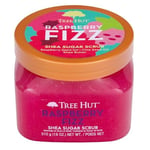 Tree Hut Ahududu Fizz Shea Şeker Ovma | Peeling Vücut Ovma Yumuşak ve Nemli Bir His için Ölü, Kuru Cildi Temizler | Besleyici Temel Vücut Bakımı | 18 oz.