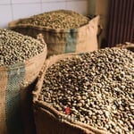 Trescol Saga Sumatra Kahvesi (Çekirdek Kahve (Öğütülmemiş), 500 Gr) - Seçenekler: 250 Gr, 500 Gr, 750 Gr, 1000 Gr