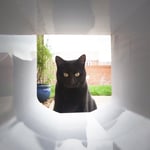 Trixie 38530 Kedi Kapısı Tunel Parçası