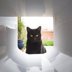 Trixie 38530 Kedi Kapısı Tunel Parçası