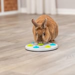 Trixie Kemirgenler İçin Zeka Oyuncağı, Plastik Ø 20 cm