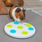 Trixie Kemirgenler İçin Zeka Oyuncağı, Plastik Ø 20 cm