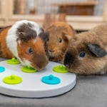 Trixie Kemirgenler İçin Zeka Oyuncağı, Plastik Ø 20 cm
