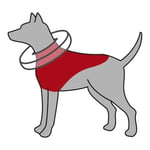 Trixie Köpek Koruyucu Şişme Yakalık Xs, Mavi - Seçenekler: XS, M-L, XXS, Medium, L-XL, Küçük Köpekler