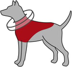 Trixie Köpek Koruyucu Şişme Yakalık Xs, Mavi - Seçenekler: XS, M-L, XXS, Medium, L-XL, Küçük Köpekler
