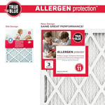 True Blue Allergen Air Filtre, 4'lü Paket, 318251.4 - Seçenekler: 18-inç x 25 inç x 1-inç, 16 inç x 25 inç x 1-inç...