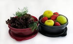 Tupperware 3'lü Set Buzdolabı Hit-Geçit Töreni 300 ml Siyah Kırmızı Koyu Kırmızı Küçük Hitparade Mini Panorama