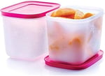 Tupperware Alaska Set 2 Li