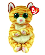 Ty Morgan kedi bere Bellie