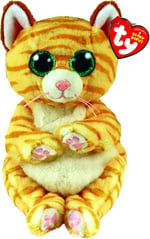 Ty Morgan kedi bere Bellie