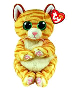 Ty Morgan kedi bere Bellie