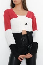 üc Renk Crop Hırka S