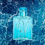 UDV Blue - EDT 100ML Erkek Parfüm | Uzun ömürlü koku | Taze Eğrelti Otu Kokusu | Günlük kullanım | Erkekler için harika bir hediye