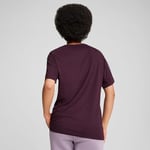UGG Süet Bot, 41 EU, 1137391, Taba, Erkek